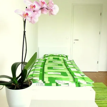 Apartma Kamrice